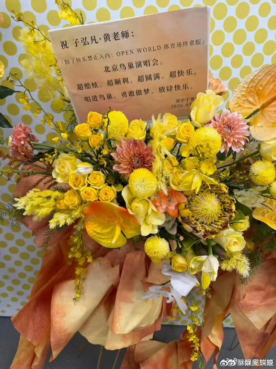 黄子弘凡内娱花篮名人堂谁被黄子弘凡的鸟巢排面狠狠震撼！整座场馆被黄色彻底包围，从