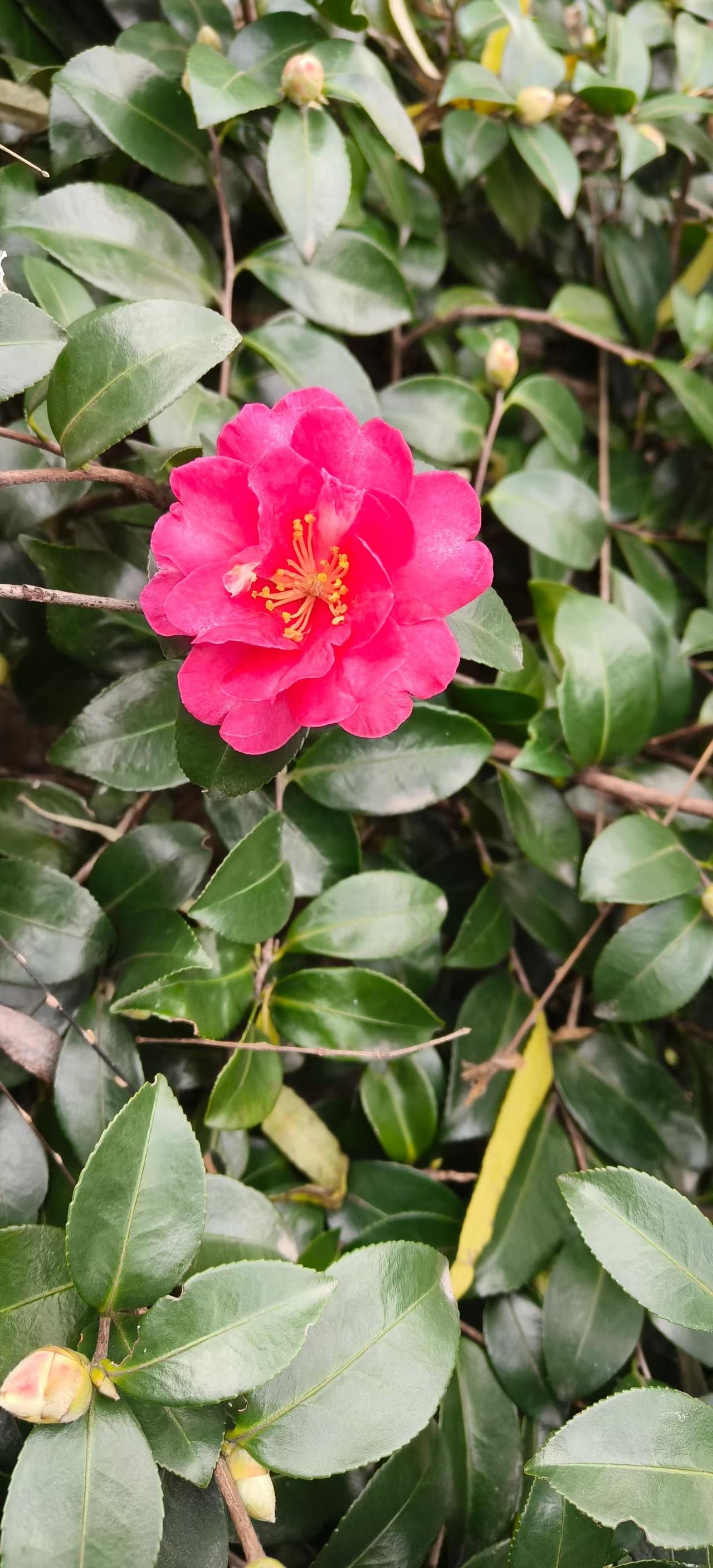 钱真是个神奇的东西，
让我看清了不少真相。
它就像一面镜子，能放大人性。有钱时，