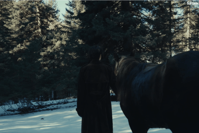 魏大勋这个杂志封面视频看得人好想也去北疆走一走，以旅人身份行走探索[憧憬] ​​