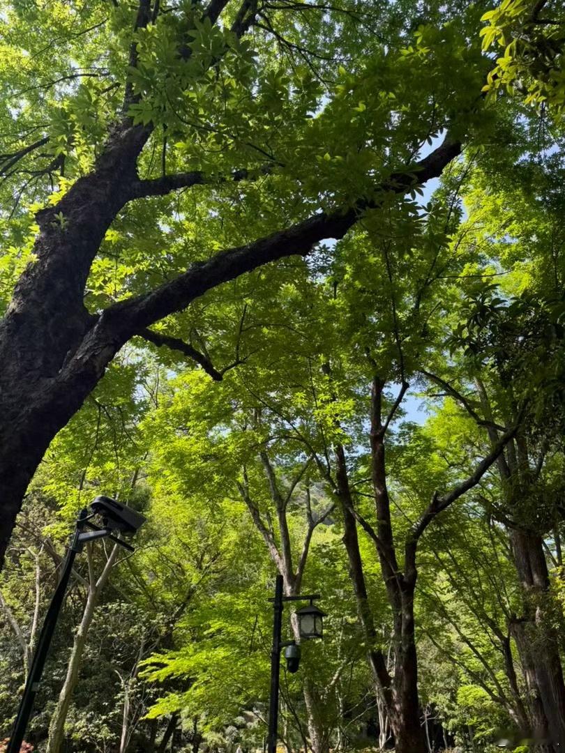 爱与不爱，其实没那么复杂，它是能被直接感受到的一个人爱你，他的时间会偏向你，他的
