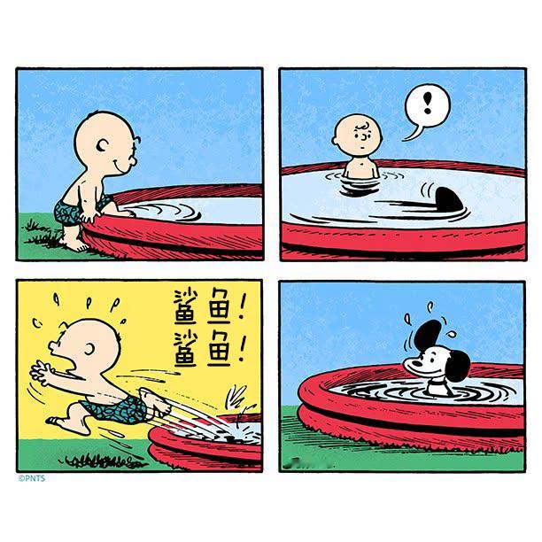 中情局已经跟踪我好几年了，因为他们知道我亲眼看到两条鲨鱼从水里跳出来还击掌庆祝，