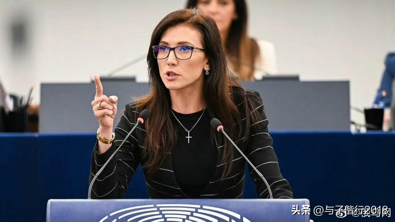 波兰籍议员埃娃说：波兰 
1.基辅方面不会放弃以“乌克兰起义军英雄”来命名乌军部