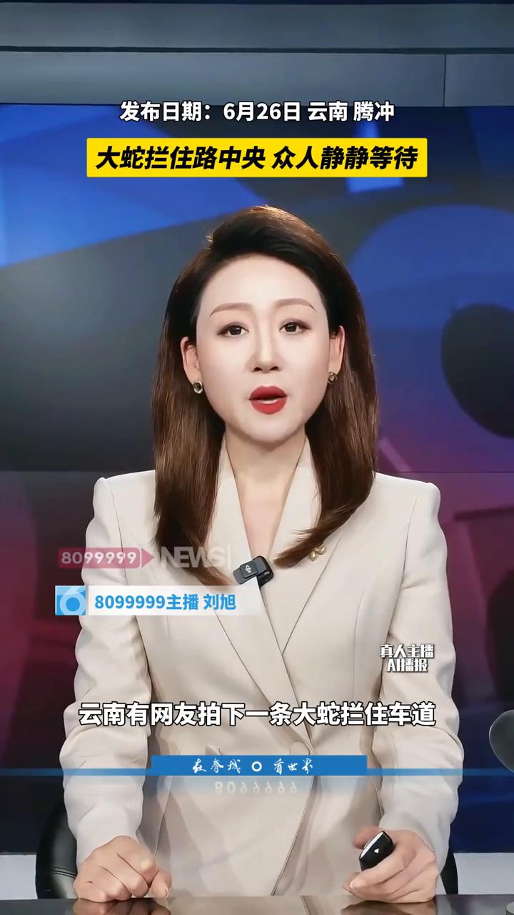 大蛇拦住路中央众人静静等待。
8099999主播刘旭。
近日云南有网友拍下一条大