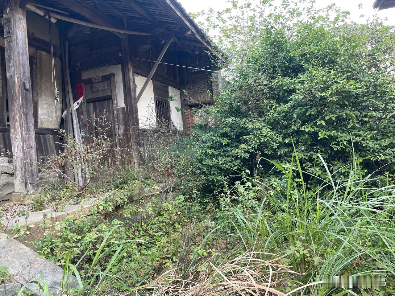 我从四川营山远嫁到福建闽侯，老公家里的确很穷，我们在一起的时候，我确实不了解他家