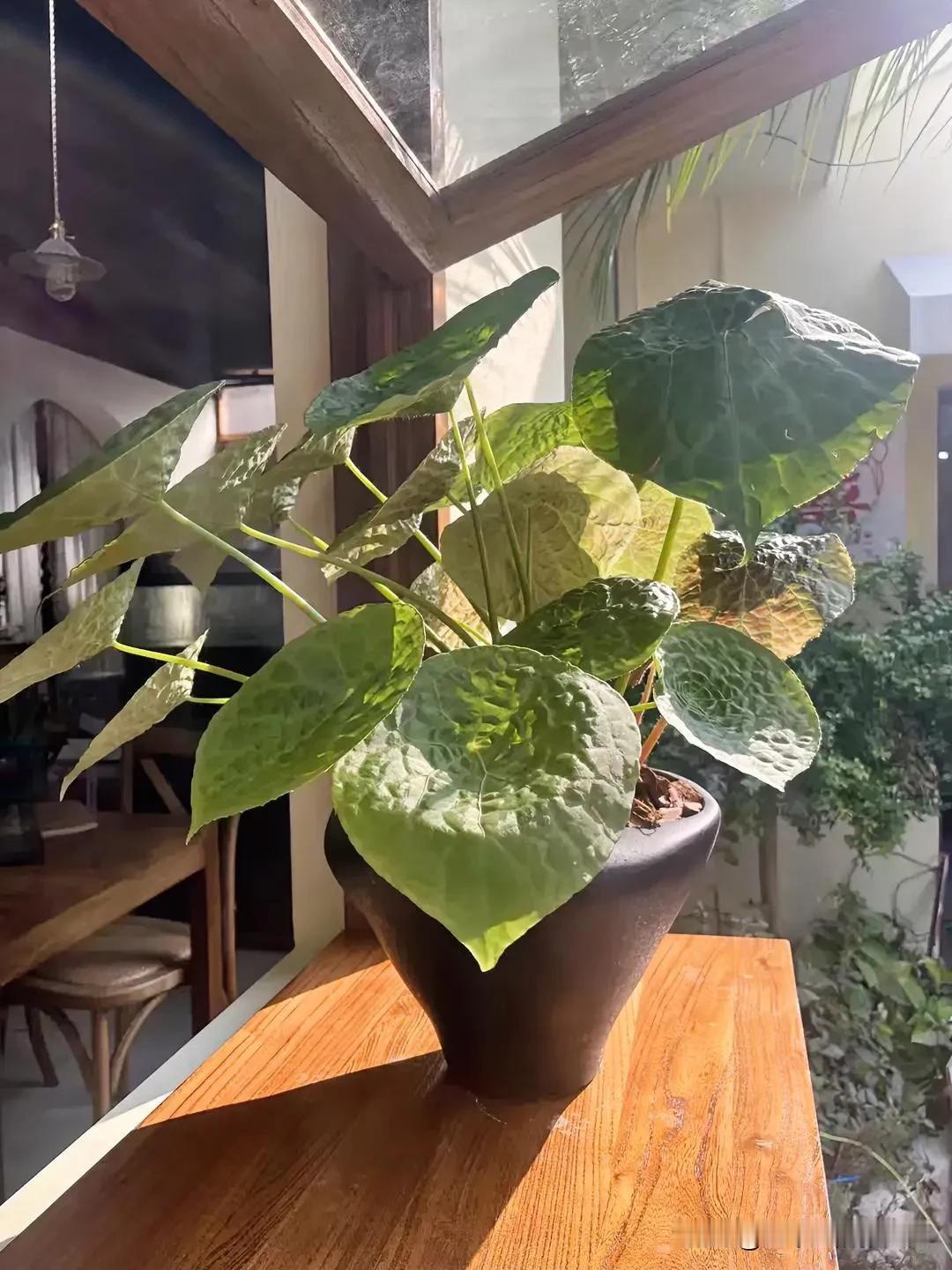 
深秋迟暮
新冬可期
