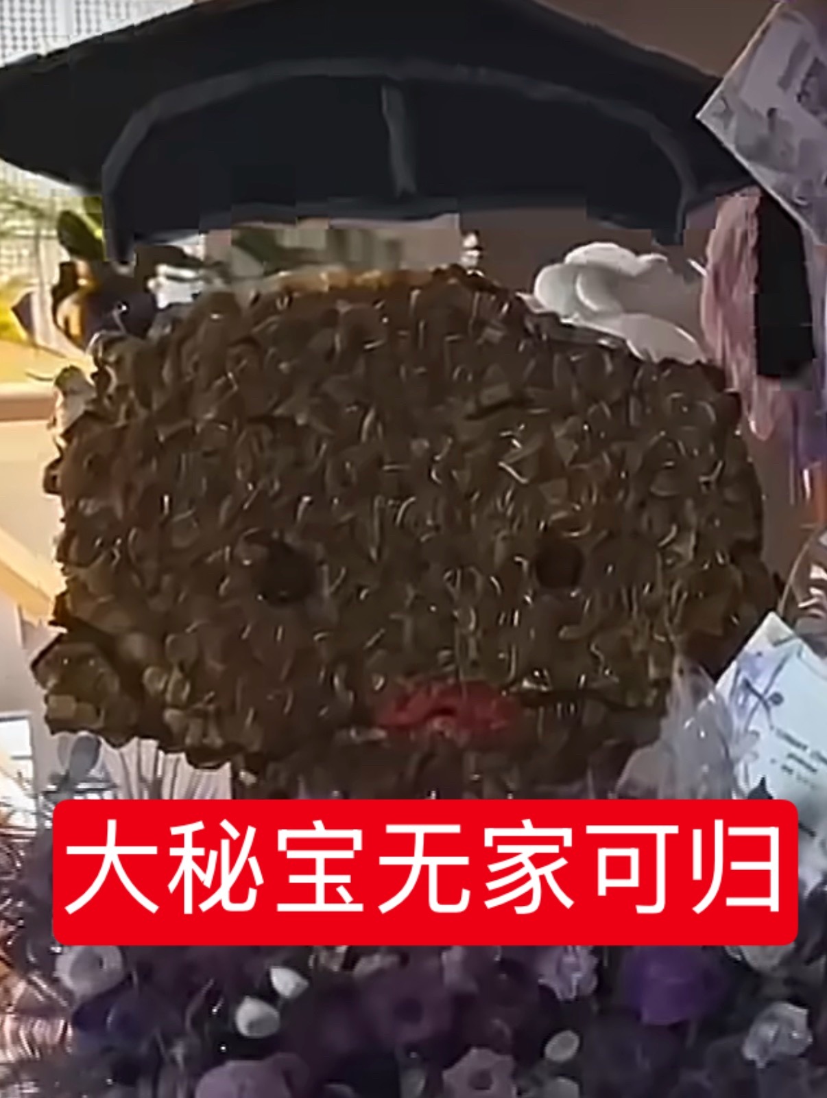 分享图片 