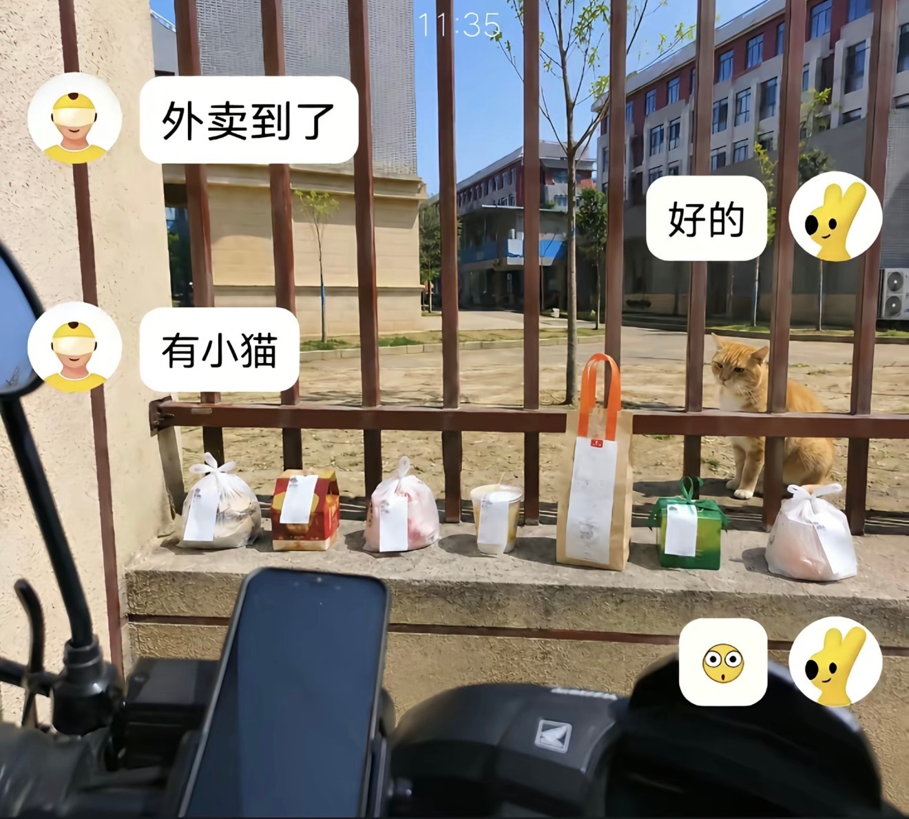 外卖小哥：不用担心，你的外卖有小猫看着