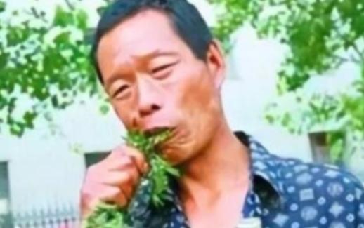 他34年吃了40吨草，闻到肉味就想吐，每天就靠吃草充饥，身体非常健康，后来去医院