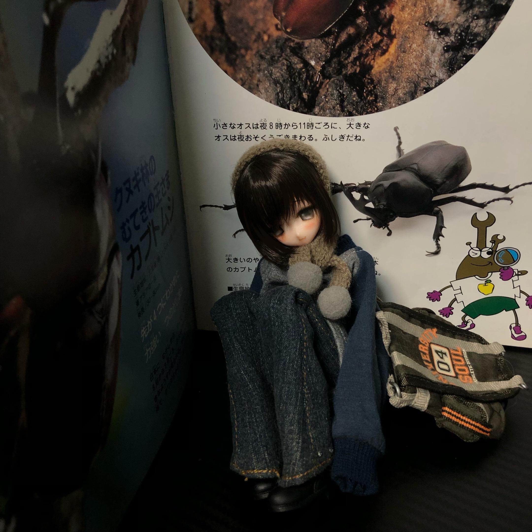 学习中ᯠ_   ̫ _ᯄ。