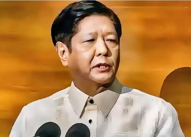 中菲摊牌了，

菲武装部队总参谋长公然警告中国：“黄岩岛冲突中，菲方若有伤亡会无