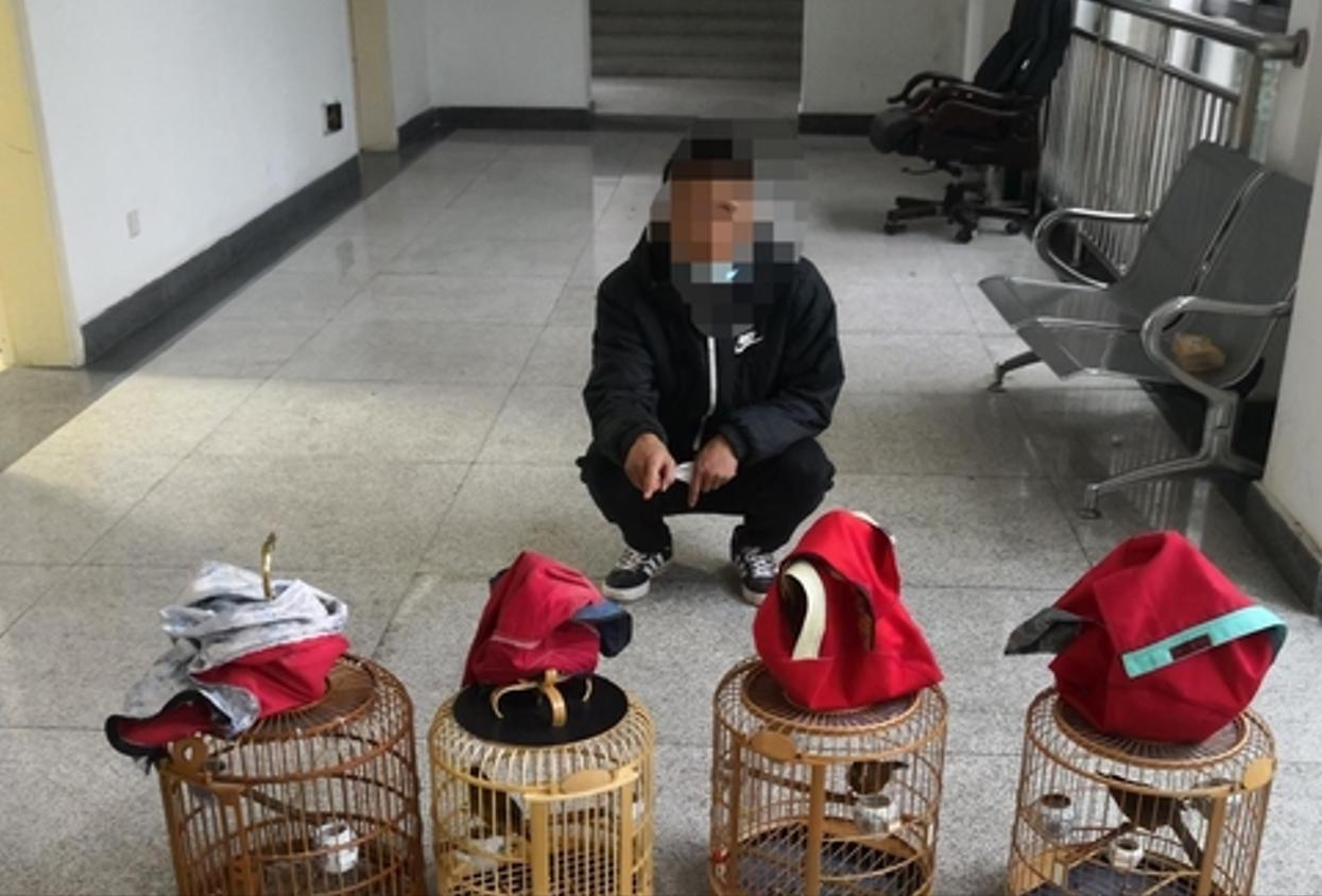 价值七万五！江苏两男子捕猎 15 只鸟，养腻放生后依旧被判坐牢

江苏宜兴两名鸟