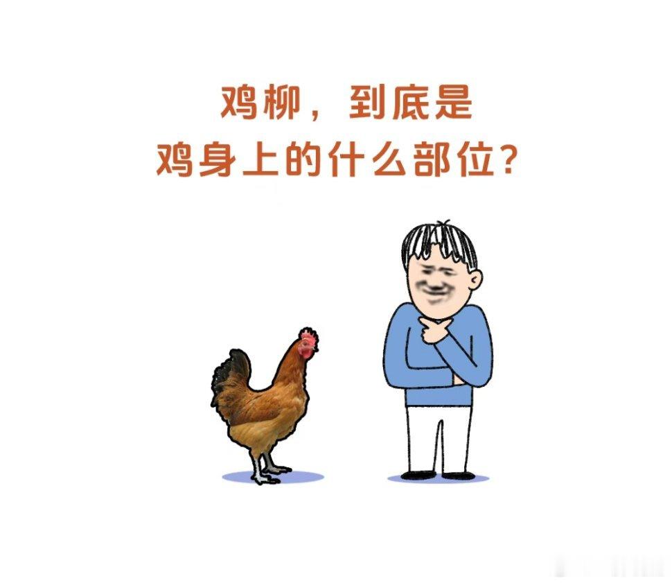 二胖睡前给大家提一个问题鸡柳，到底是鸡身上的哪个部位?是鸡的柳部吗？ 