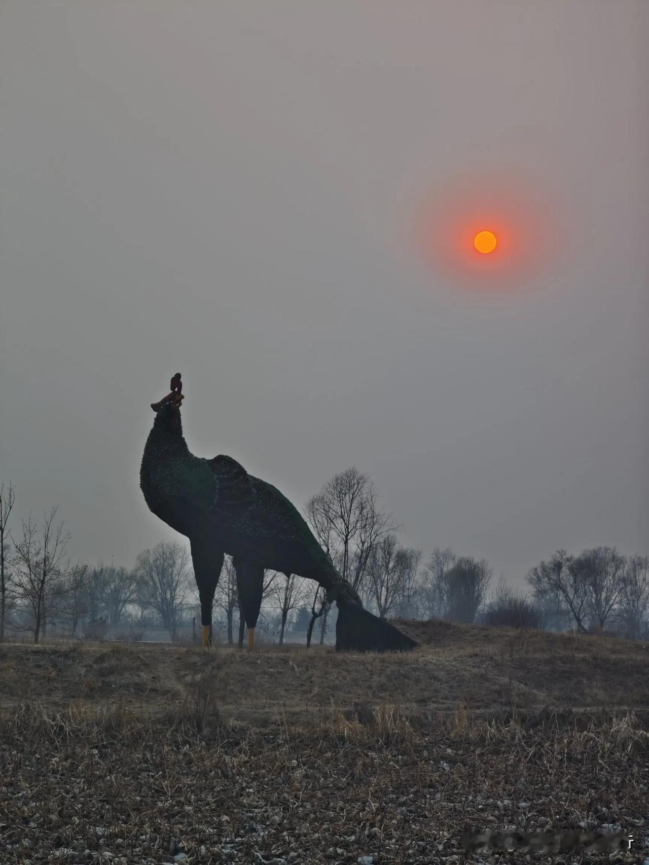 夕阳下的剪影，静谧而美丽。长春友好村，一只孔雀雕塑，为啥Ai会自动识别是公鸡🐓