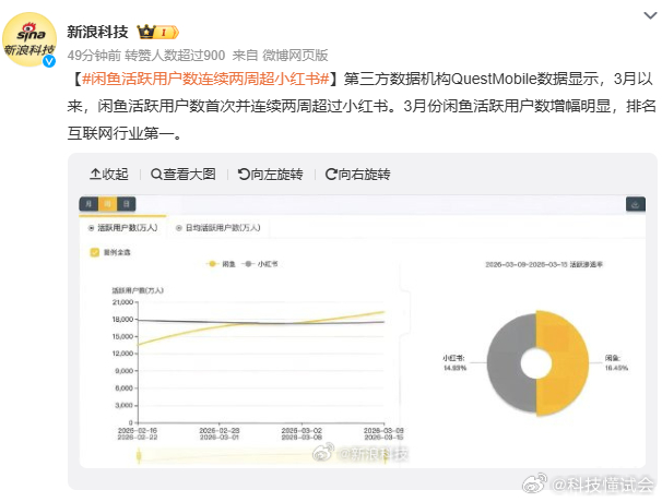 闲鱼活跃用户数连续两周超小红书我现在也是经常刷闲鱼，前一段时间还把之前的内存条给