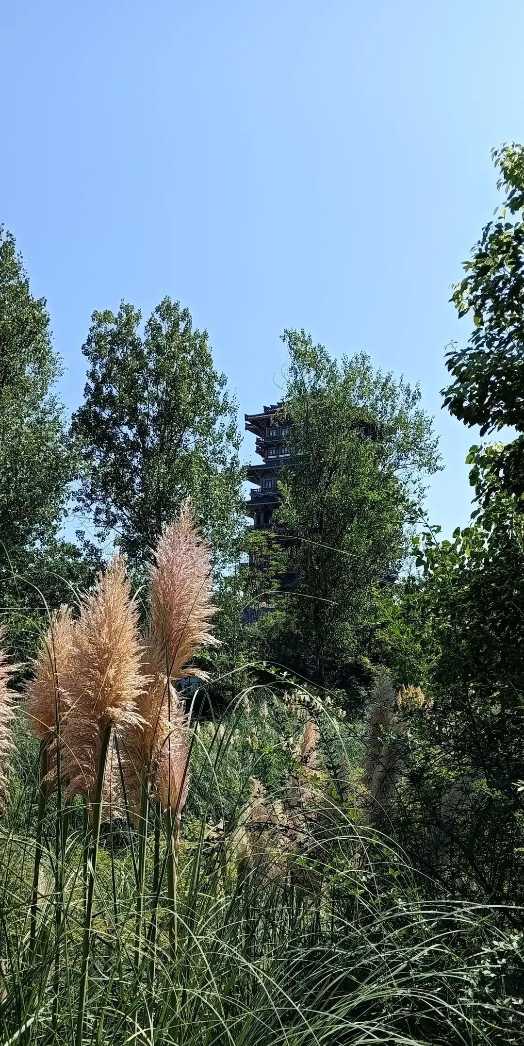 出轨后他没再碰我，直到体检把真相硬生生摊在我面前。

两年前我一时脑热，觉得婚姻