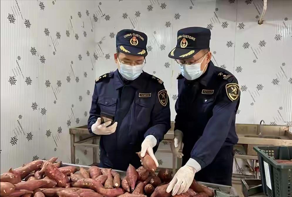 毛骨悚然的黑色产业链！日本人自己碰都不敢碰的核辐射区高危零食，竟然通过见不得光的