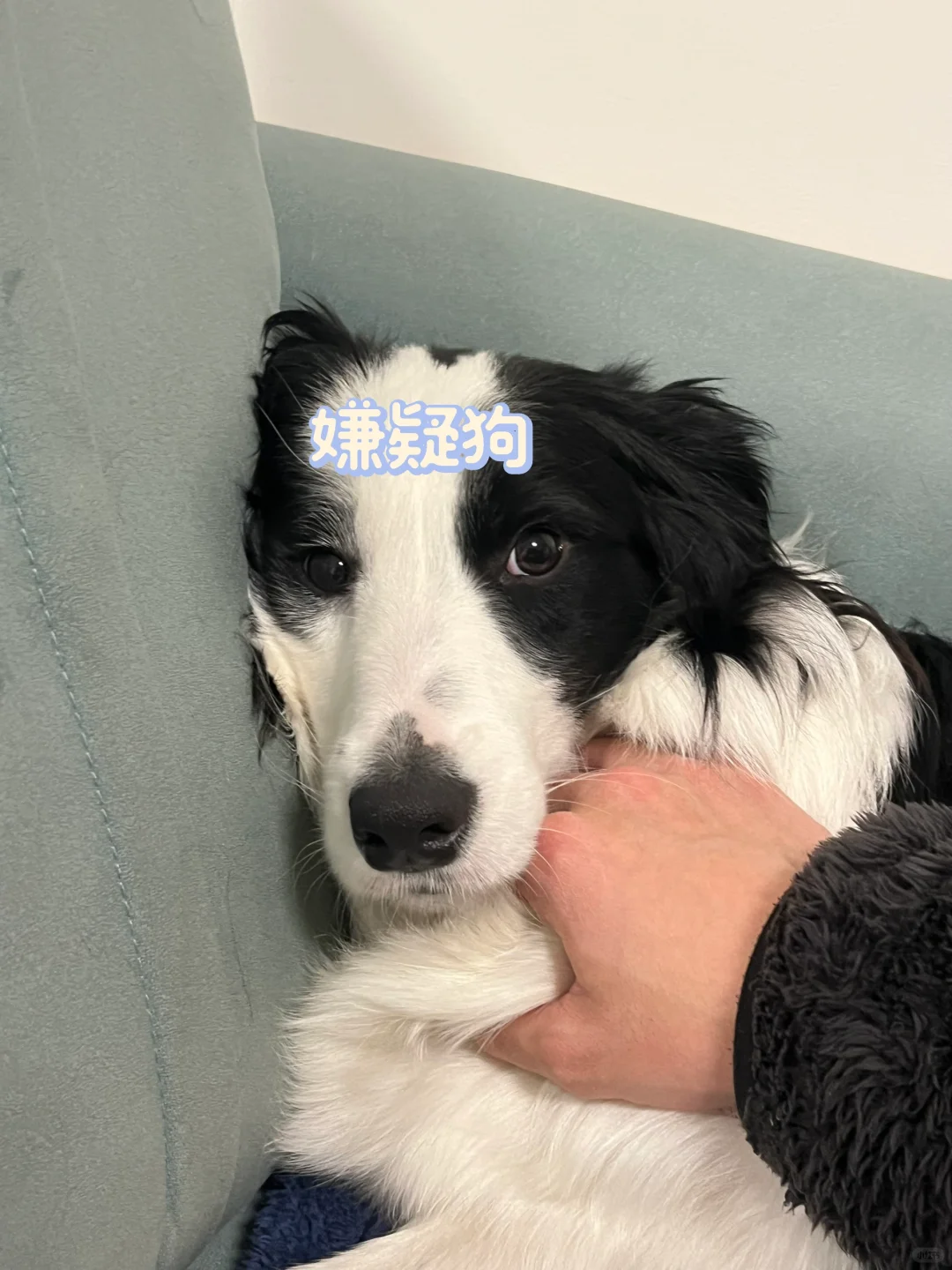 早上起床炸裂的一幕