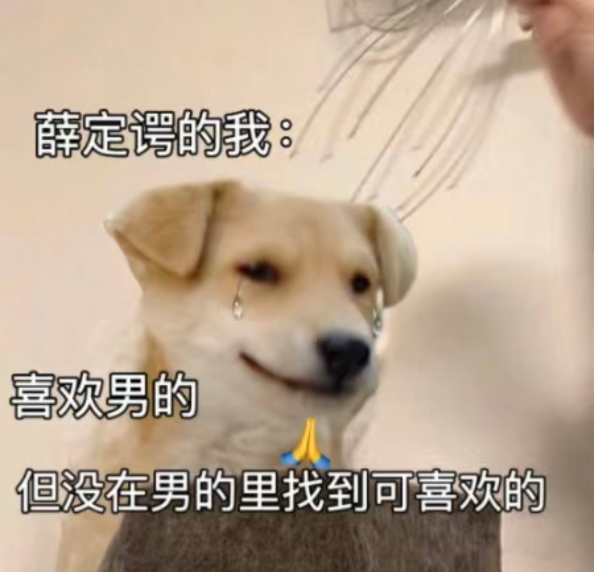 我现在的状态belike： ​​​