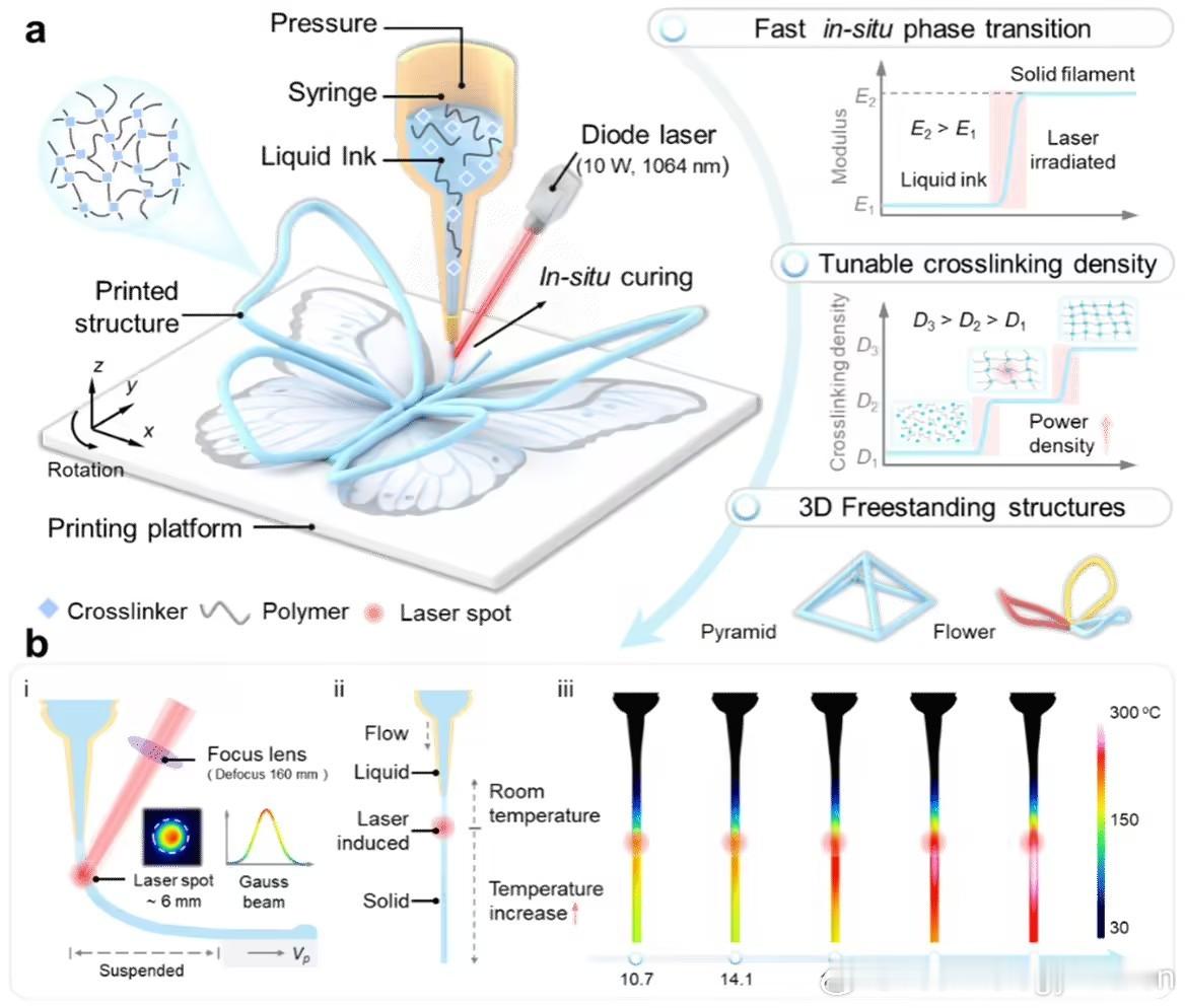 厦门大学突破0.25 秒热固材料 3D 打印技术 厦门大学吴德志教授团队联合加州