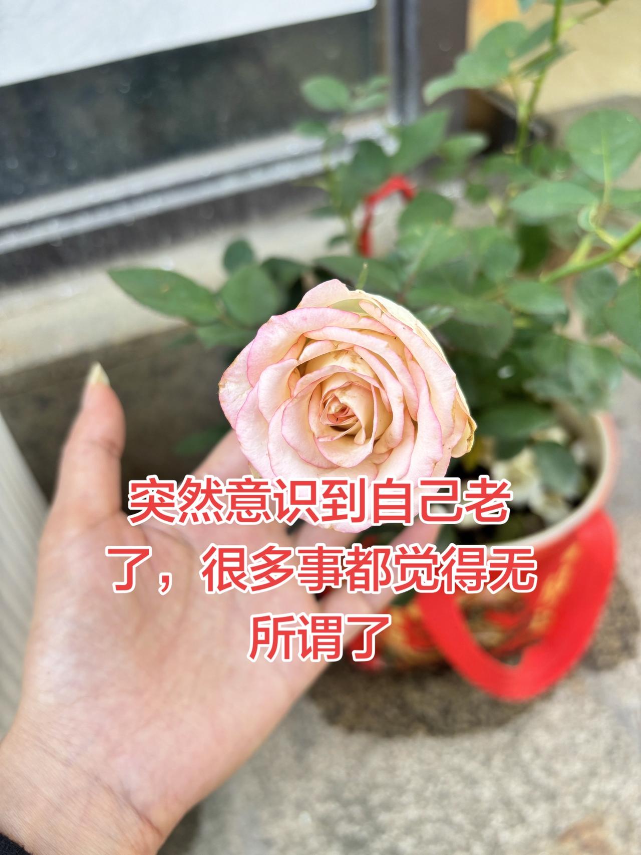太可怕了，我突然意识到我老了，不打扮了，不做指甲了，不穿露脐装，连穿裙子都要穿一