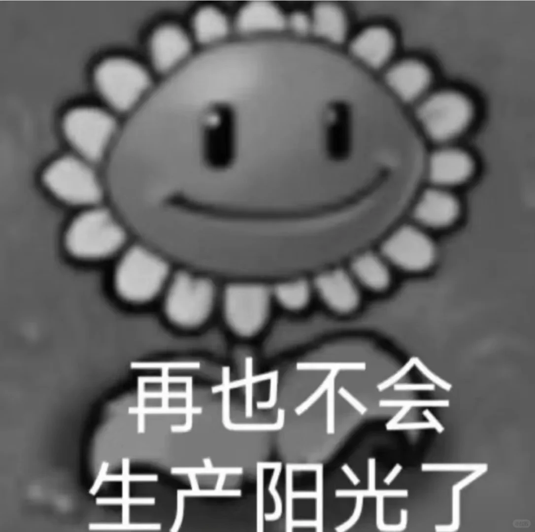 你离开四川的那一天，带走了我刚摘的4G豆