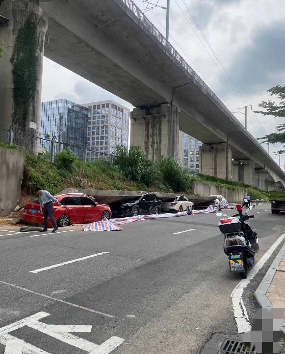 不懂就要问，这种情况保险公司能走全损吗？