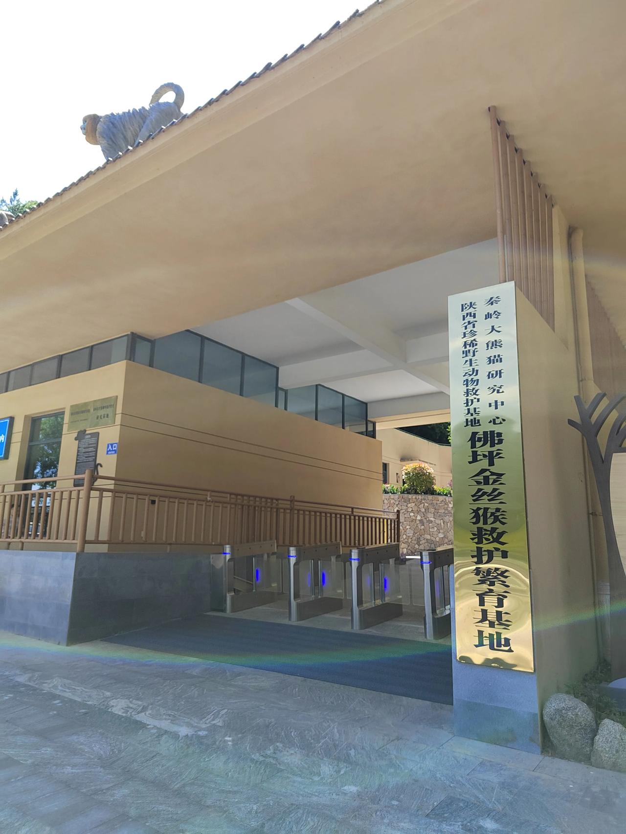 佛坪的金丝猴基地
佛坪的熊猫基地正在修整，暂时闭馆。对小朋友们来说有点失望。但是