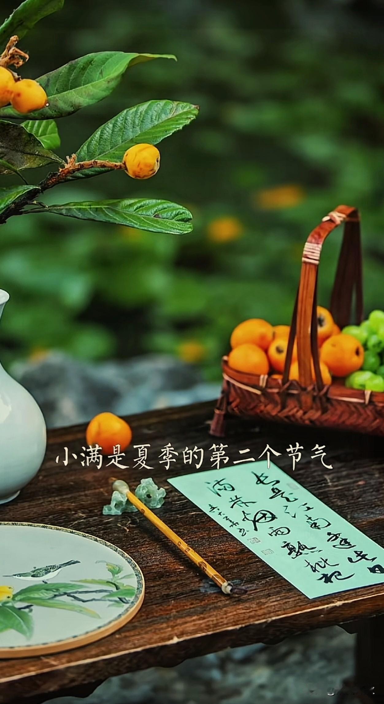 ✨📮𝐡𝐚𝐩𝐩𝐲.ᐟ .ᐟ ˎˊ˗✨💚

  🍃
小满已至，
这是