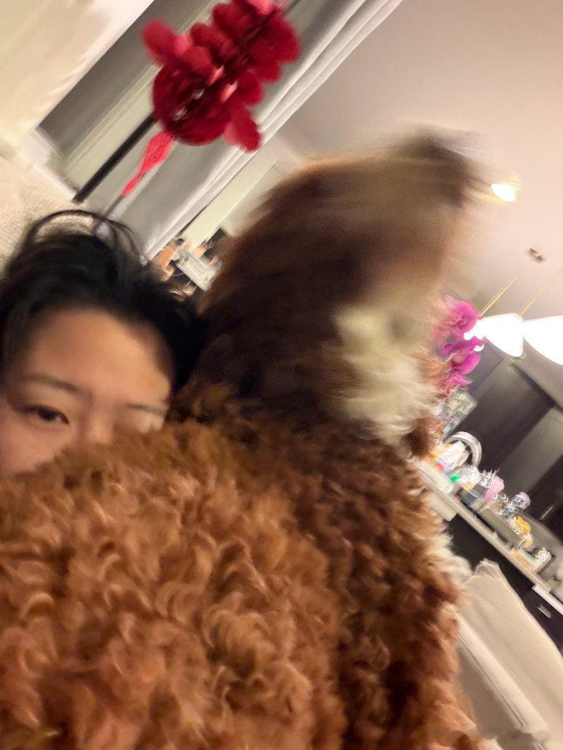 爷爷奶奶去丹佛了，它又回我怀里了 它真的好可爱啊 