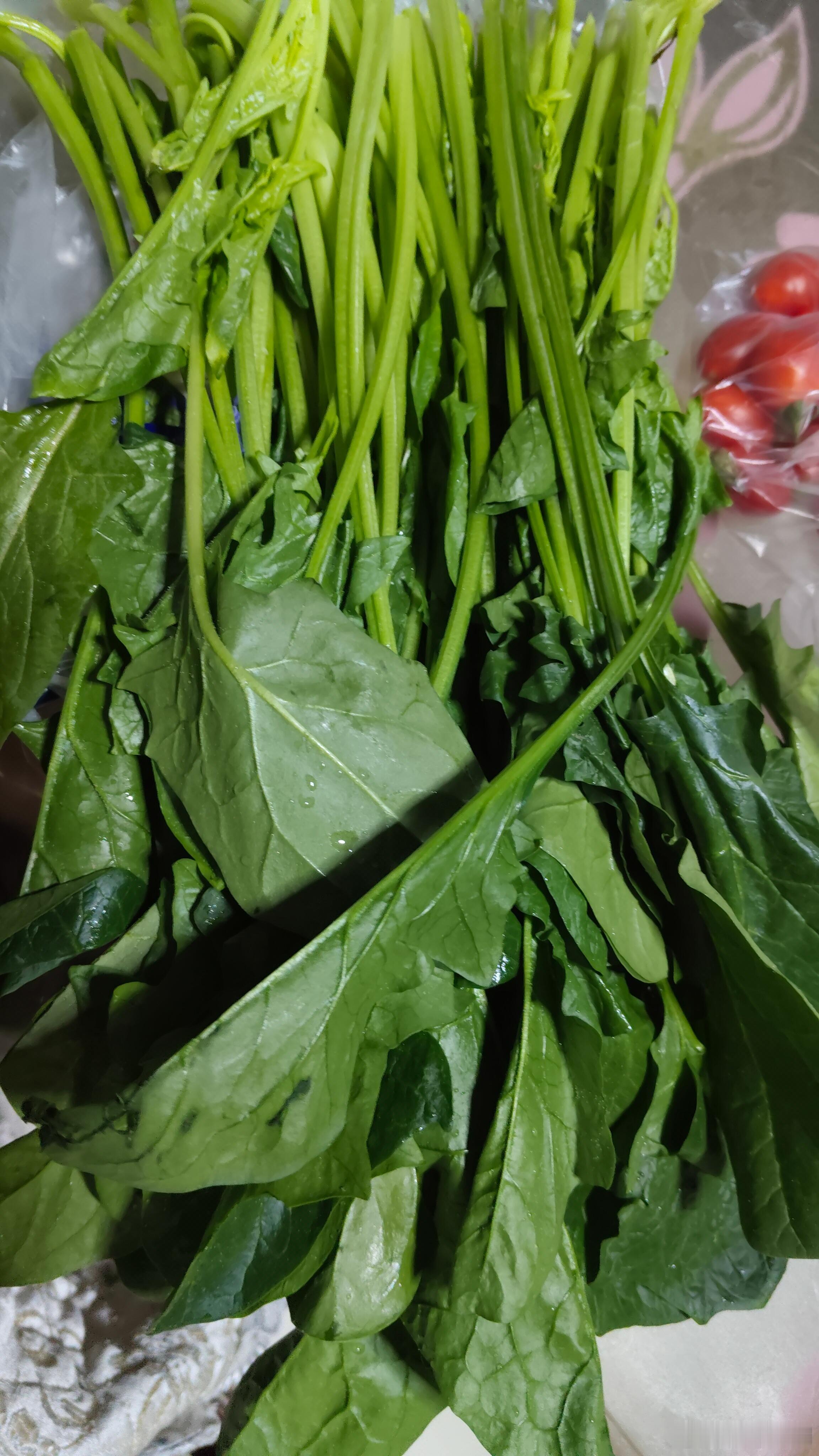 手机摄影 春日的餐桌，是大地写给味蕾的情书。红玛瑙般的圣女果，裹着清晨的露水，酸