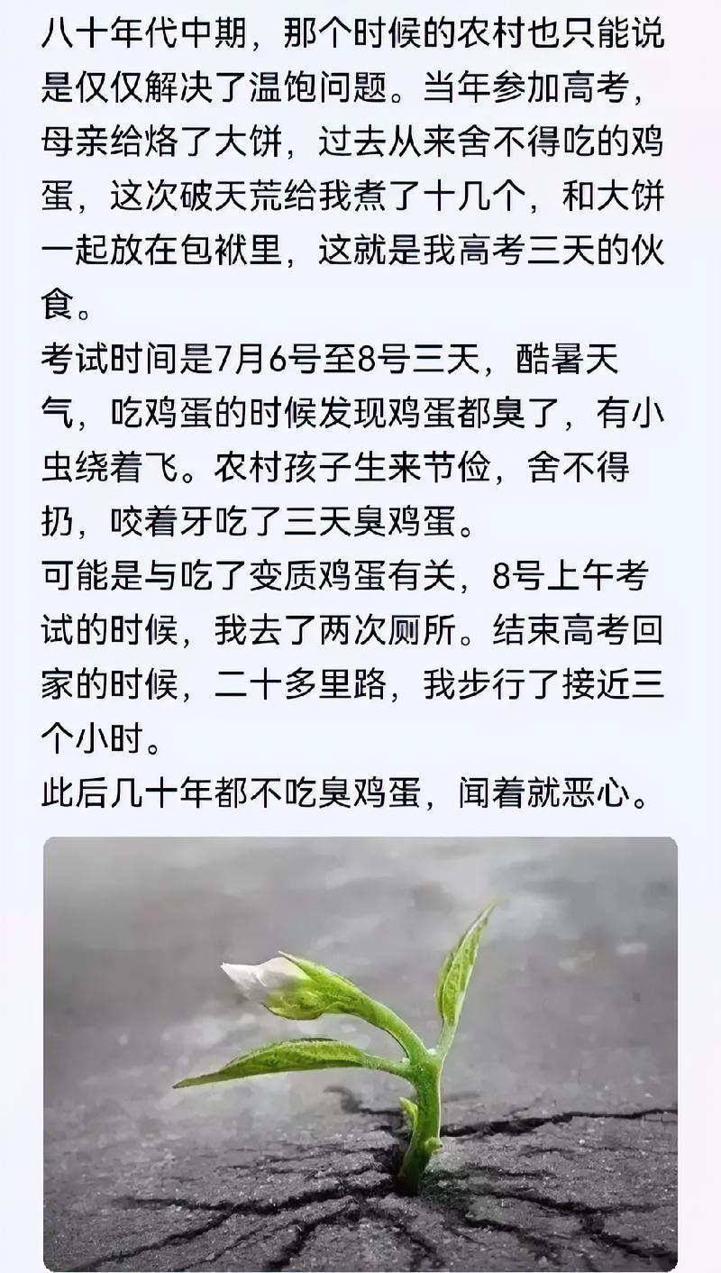 八十年代，无疑是最让人难忘的一个时代，无论是从教育、文化还是物质生活方面。

遗