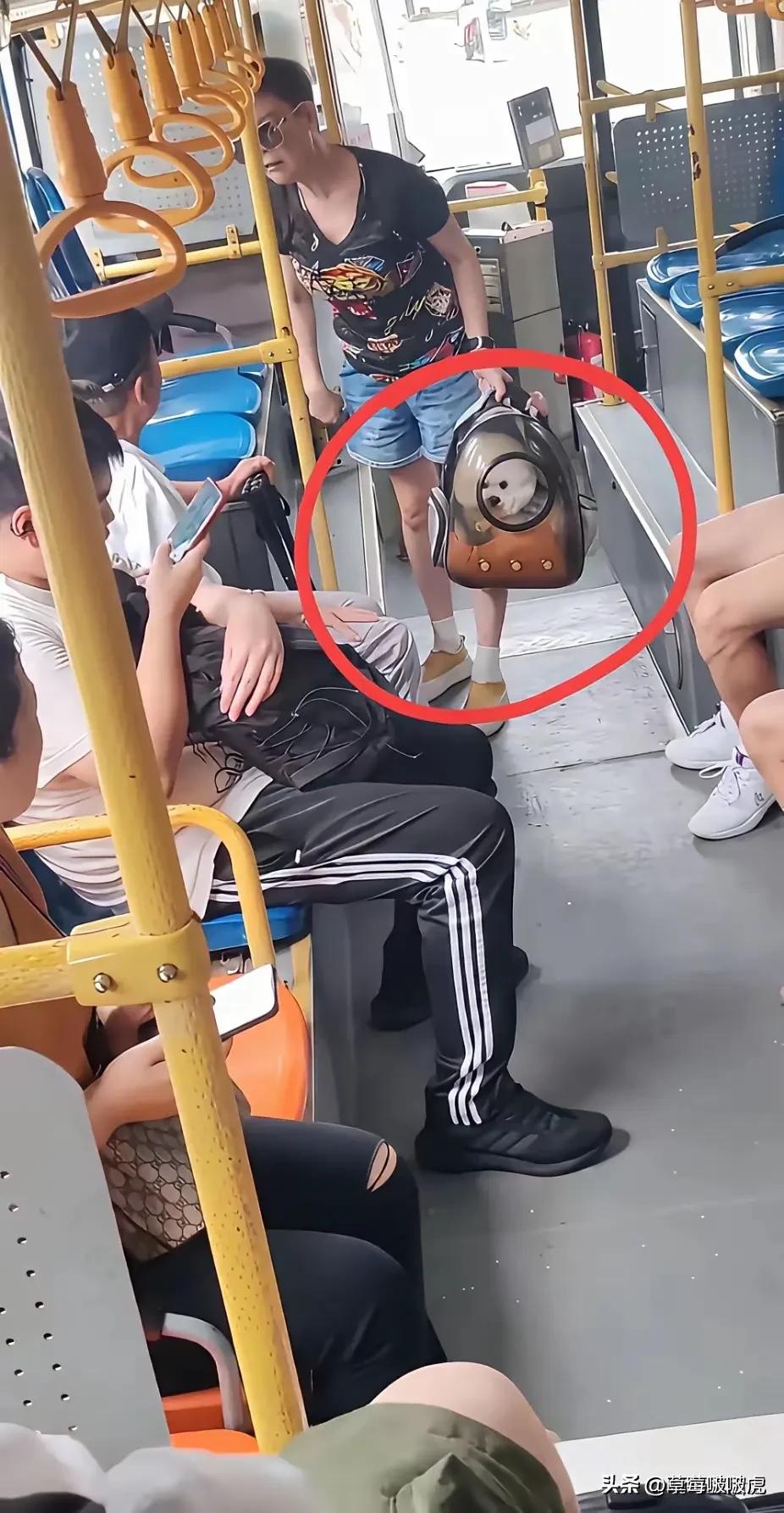 良心主人！[赞][赞]
