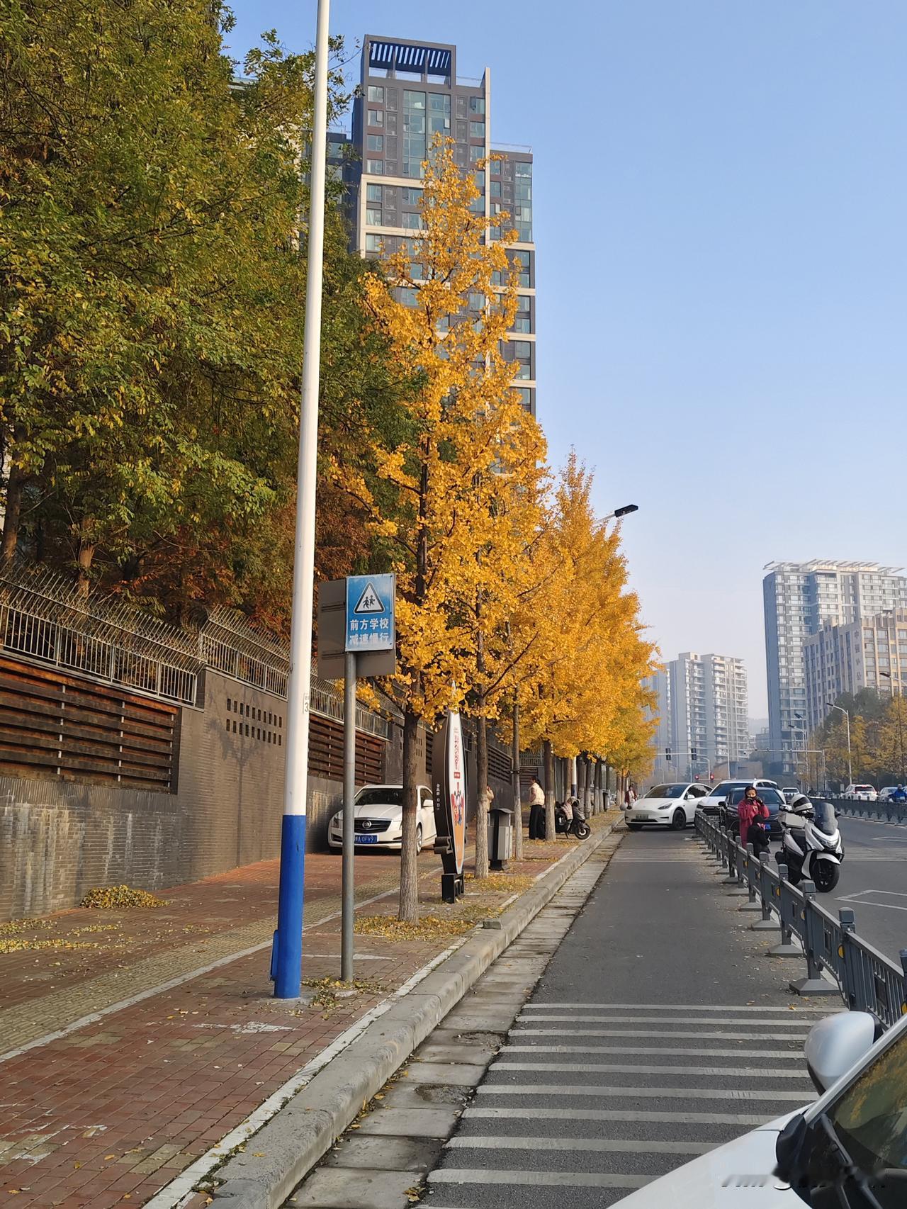 秋日街景里的温暖与诗意
 
秋日的阳光澄澈透亮，洒在这条街道上，绘就了一幅动人的