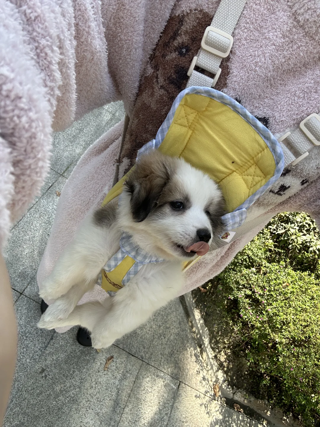 能告诉我那天你被丢出来的故事吗