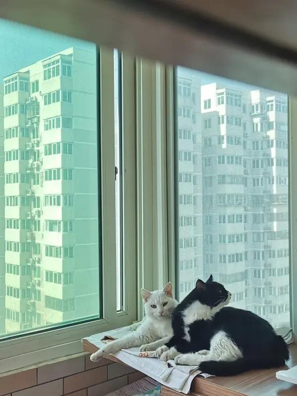 结婚有结婚证，意味着成为一家人，肩负着责任。而同居没有结婚证，无需承担责任，财产