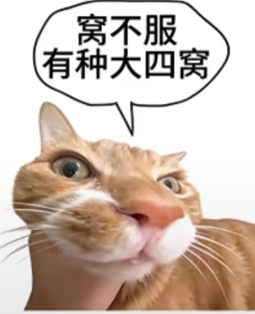刚刚看到小水滴发的哈哈哈哈哈哈哈笑点坏掉了屈狗穿的那个特别像我们大连沙河口区的小