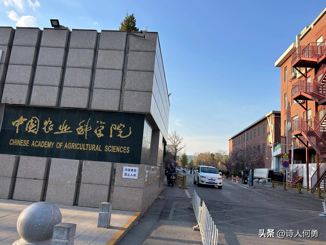 白茶清欢无别事，我在等风也等你。