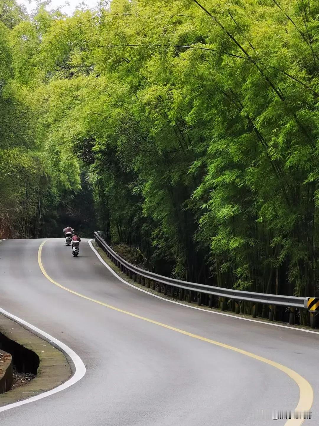 自贡飞龙峡的“最美”公路