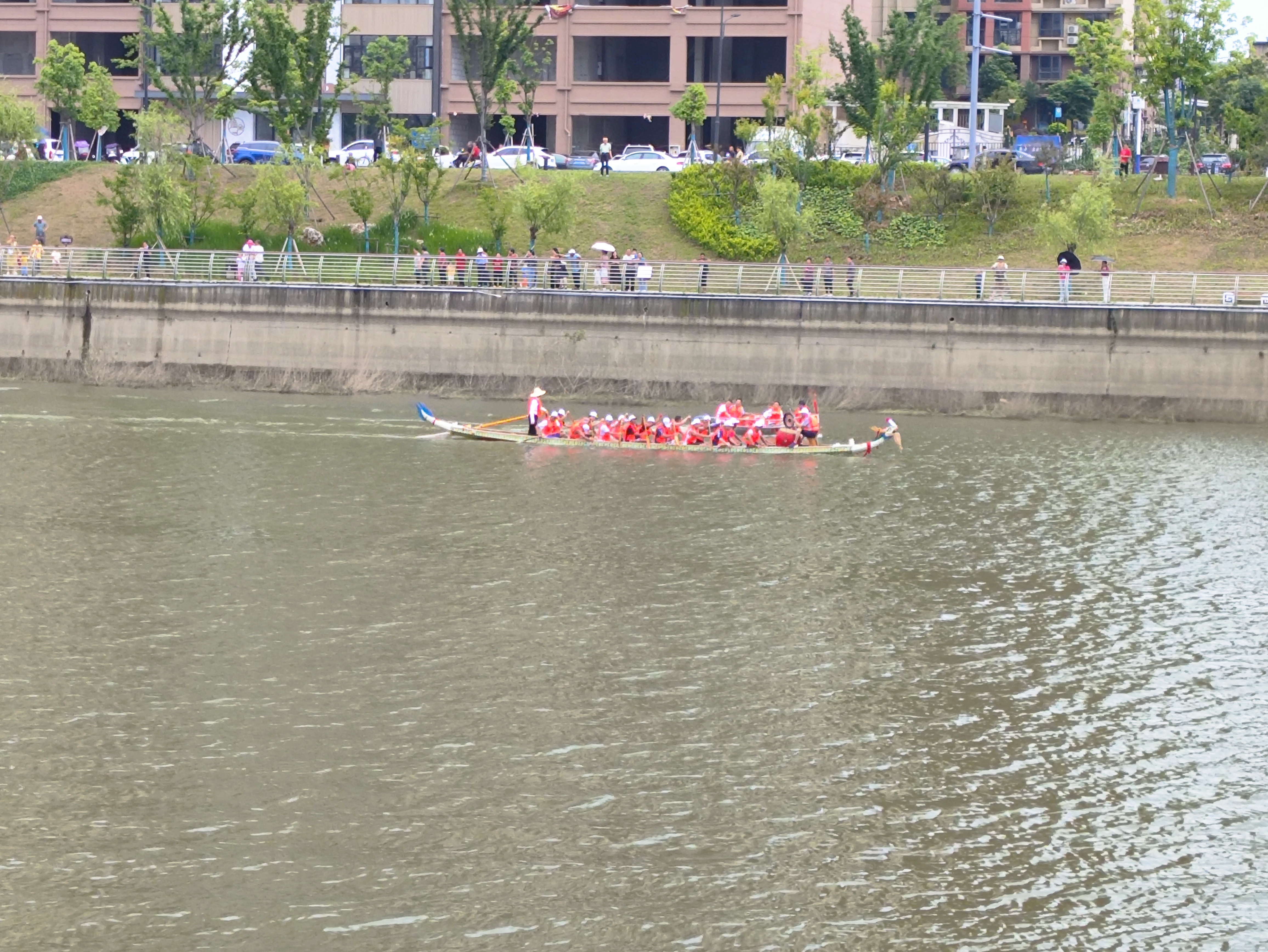  时隔十几年 又看到了家乡的划龙舟  ​​​