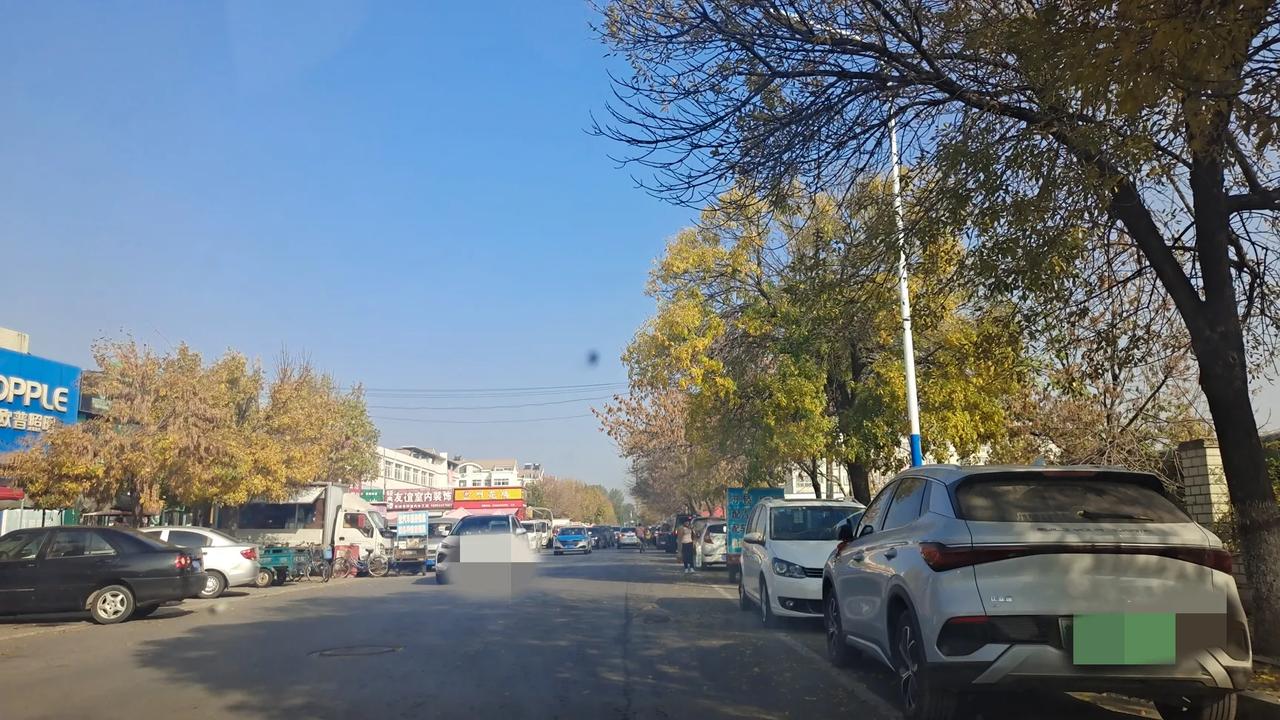 东营市场的白菜价格一落千丈，


从上阶段的两块五一斤降到了八毛钱一斤，终于能大