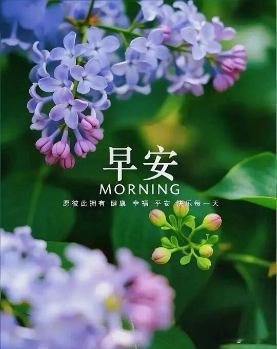 🌼²⁰²⁶/₀₇.₂₁ᵕ̈ᵕ̈周二｜微风清凉🍃🍒🍑🍀🪷
一夜清风消尽