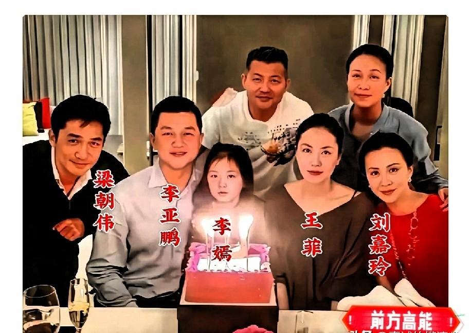 李亚鹏抱着李嫣，眼里烧着的光，后来再没见过。
那时的王菲还没走，眼神还跟随着他。