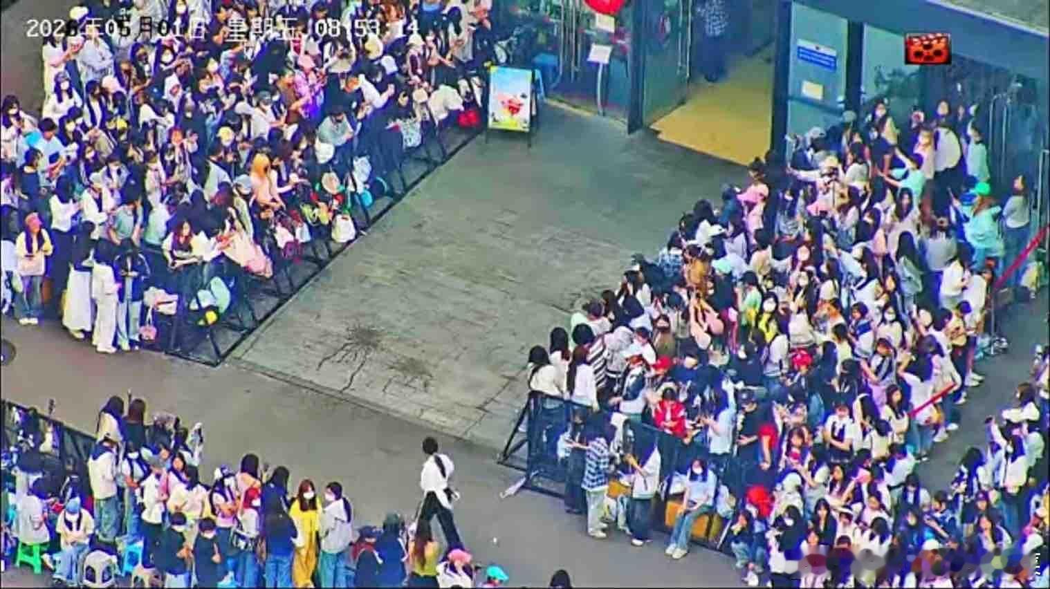 老肆肆楼娱顶流！ 