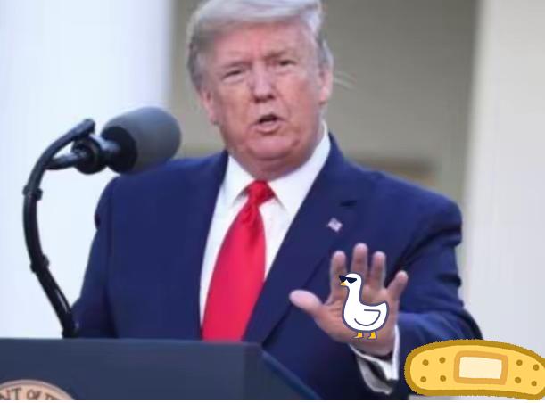 [微风]就在刚刚，美国突然传来消息！

11月9日，特朗普不仅要退钱，连总统宝座