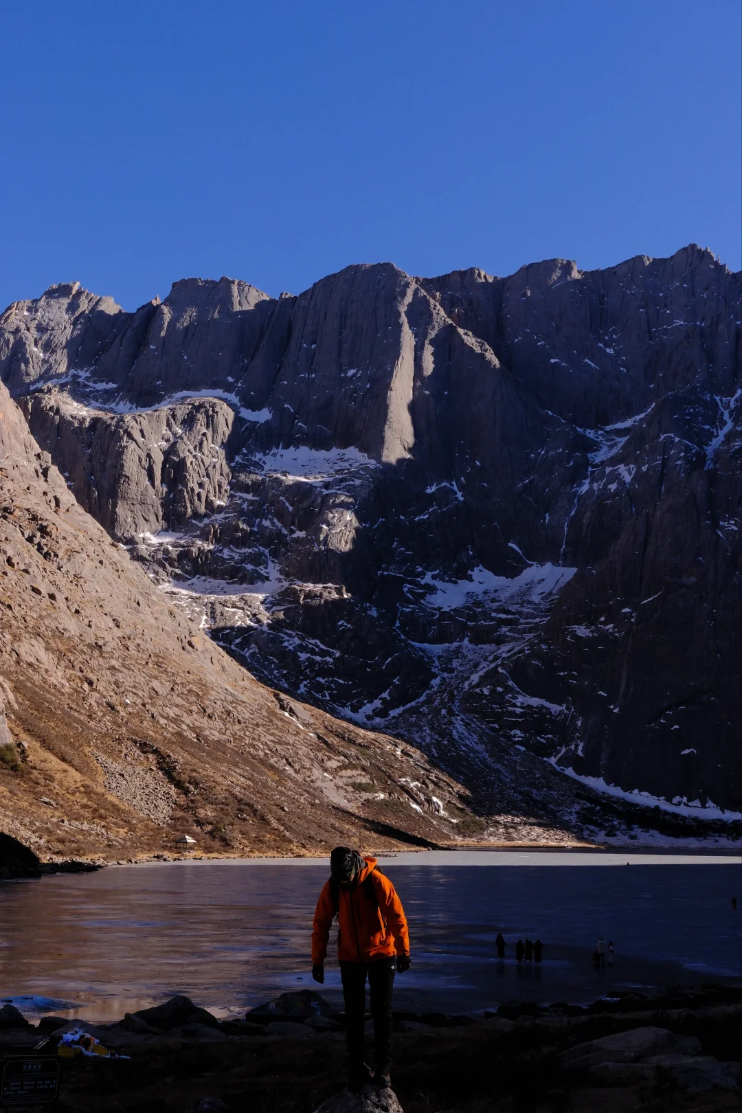 冬季莲宝叶则的魅力