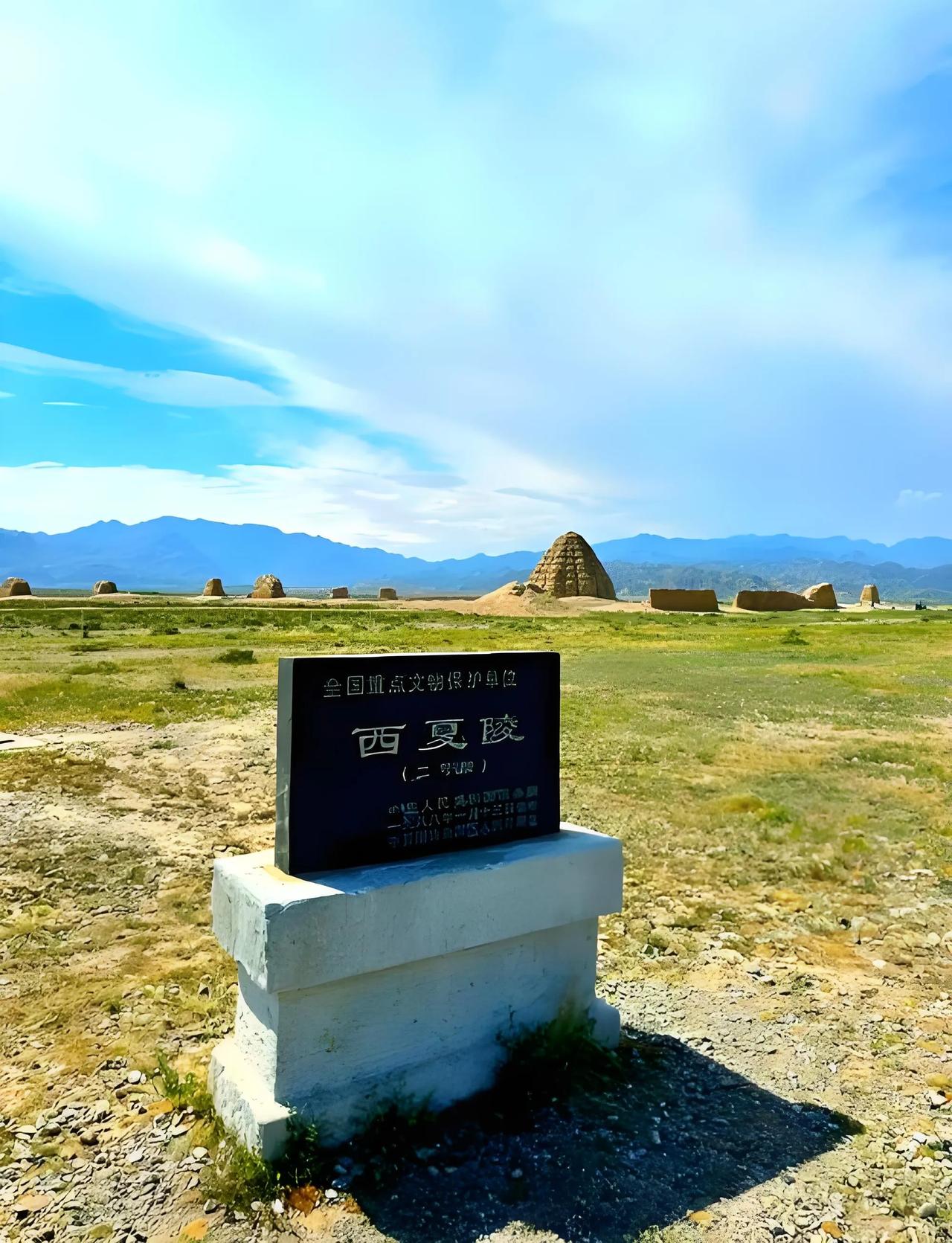 沉睡千年的西夏陵申遗成功