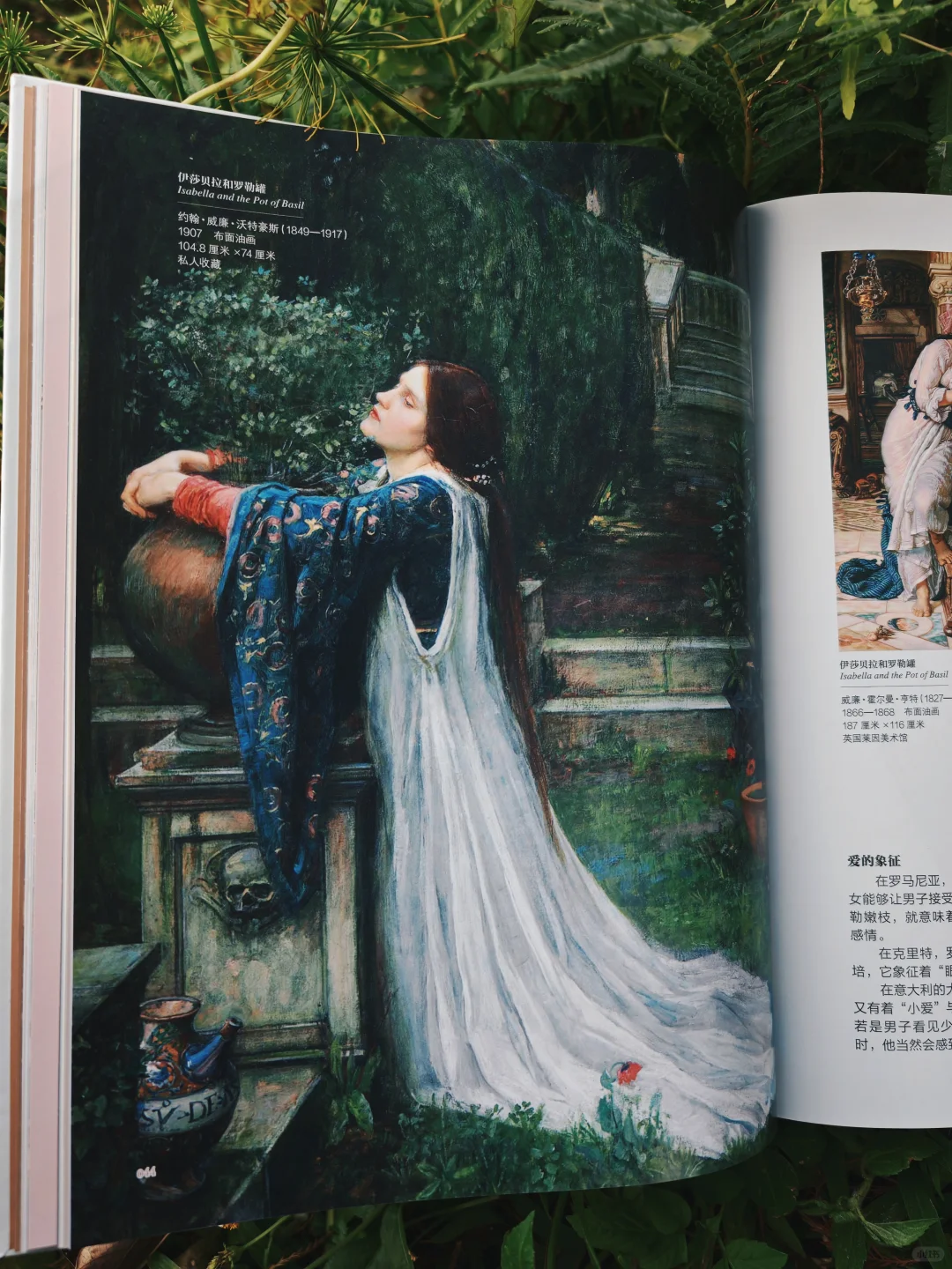 美到窒息！这么美的书，再来10000本吧！
