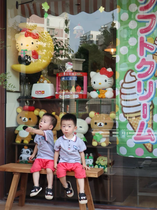 算了，跟你们没双胞胎的说不清楚！