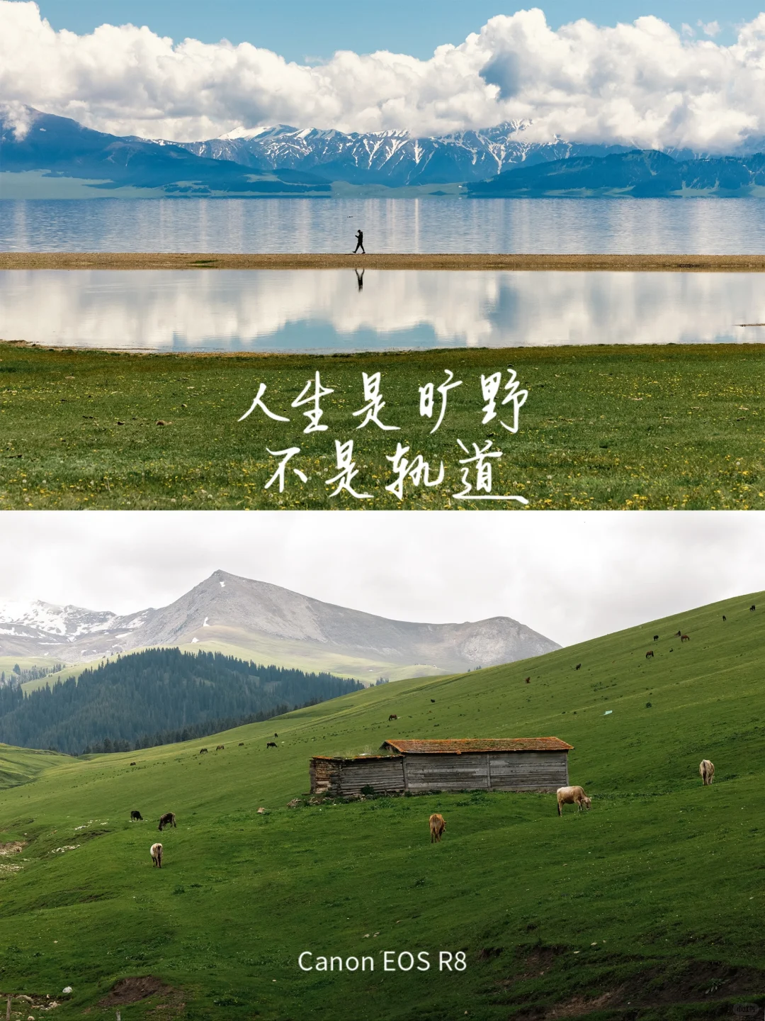 新疆不只有阿勒泰，还有这些！