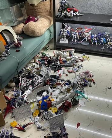 手办碎了一地，

老婆砸的不是塑料，

是三年没回的消息。

那天晚上十点多，监